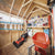 Well-organized shed interior with tools, shelves, a lawn mower, and a wheelbarrow. Well-organized shed interior with tools, shelves, a lawn mower, and a wheelbarrow.