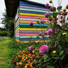 15 Coolest Shed Paint Jobs to Transform Your Backyard
