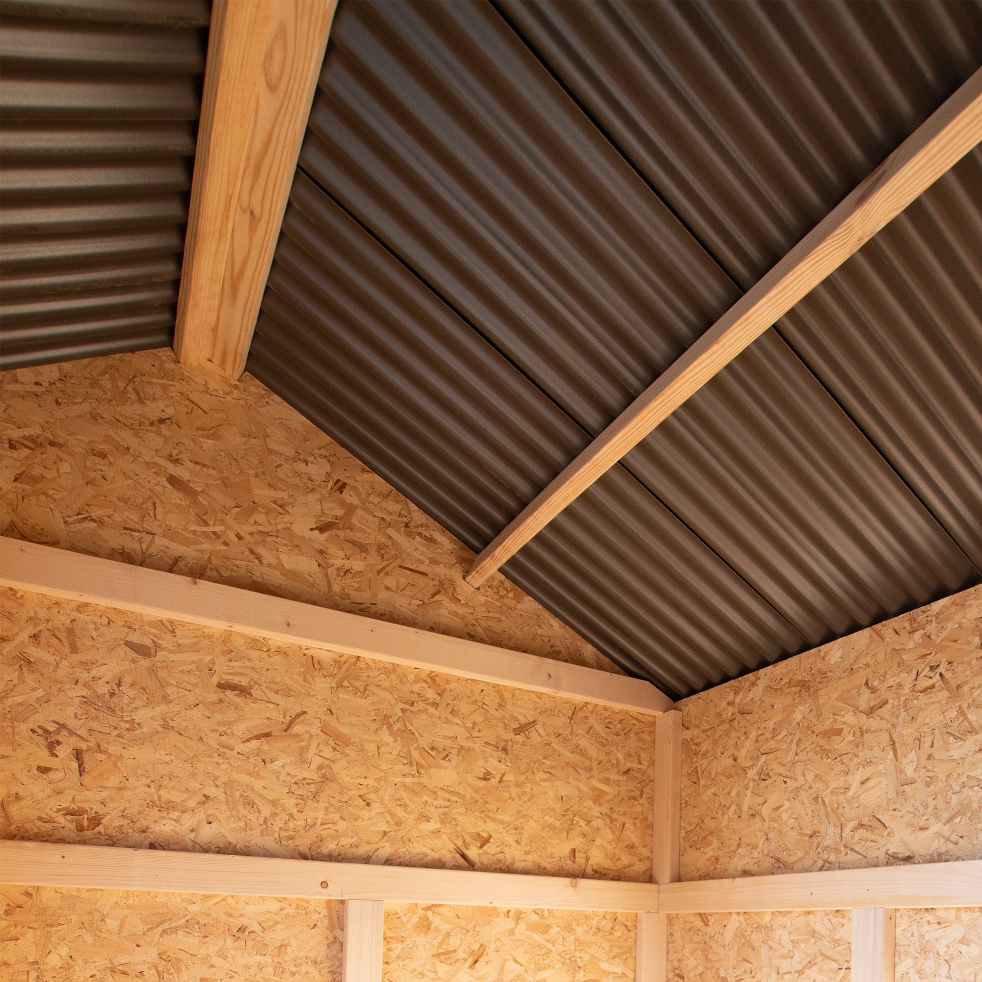 interior roof close up 